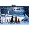 Käthe Wohlfahrt Adventskalender "Hunde-Weihnacht" Outlet