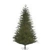 Käthe Wohlfahrt Baum Frasier Fir Grun, 215 Cm Clearance
