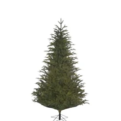 Käthe Wohlfahrt Baum Frasier Fir Grun, 185 Cm Best