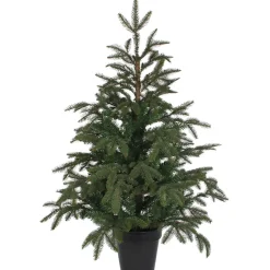 Käthe Wohlfahrt Baum Frasier Fir Grun, 100 Cm Sale