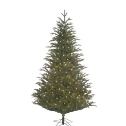 Käthe Wohlfahrt Baum Frasier Fir Mit Led Beleuchtung, 215 Cm New