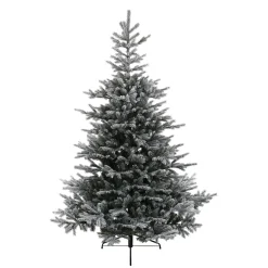 Käthe Wohlfahrt Baum Grandis Fir Beschneit, 150 Cm Best