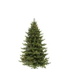 Käthe Wohlfahrt Baum Sherwood Deluxe Grun Mit Led Beleuchtung, 155 Cm Outlet