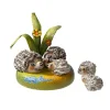Kindertraum Igelfamilie New
